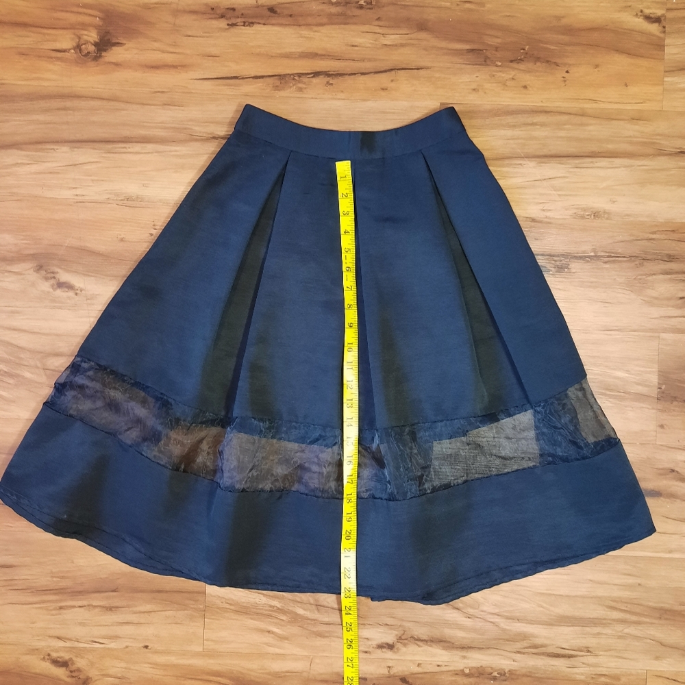 Express Skirt, Sheer Panel insert Black, 6, Pleats - Picture 5 of 7